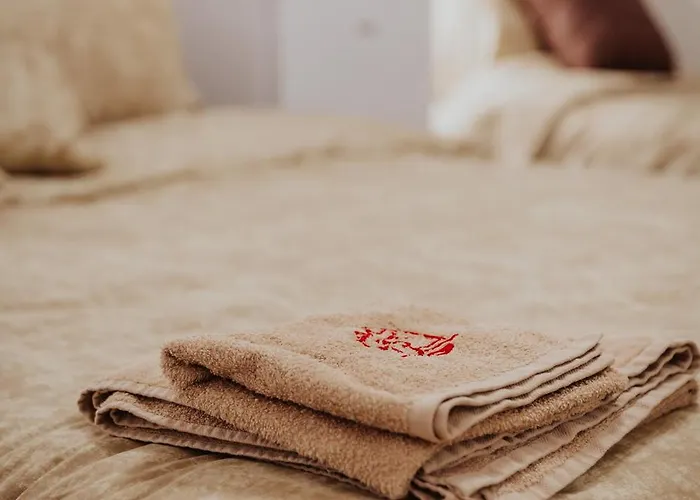 公寓 Gallus 阿莱克西纳茨