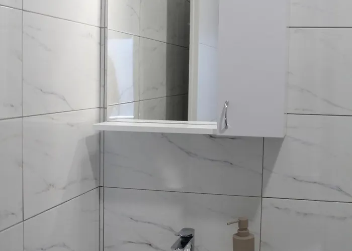 Gallus 公寓 阿莱克西纳茨